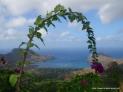 Thumbnail for Tahoae Bay